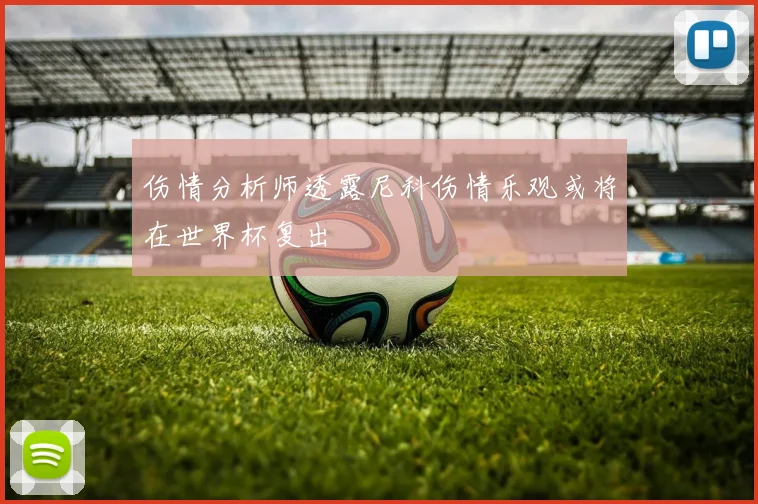 伤情分析师透露尼科伤情乐观或将在世界杯复出